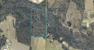 97 acres Sawmill Rd, Moultrie, GA 31788