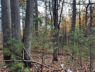 ON Moss Lake Dr, Lac Du Flambeau, WI 54538