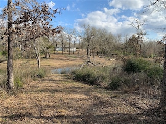 1505 Pin Tail Cove, Caldwell, TX 77836