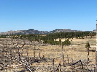 tbd Moonlight Dr Unit Lot 2 Custer Highlan, Edgemont, SD 57735