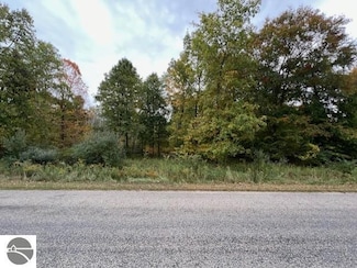 TBD Oakridge Trail, Fulton Township, MI 48871