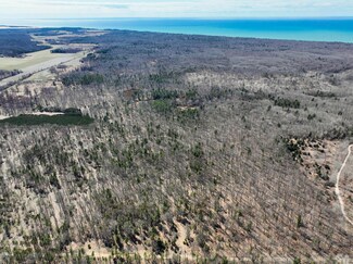 V/L 80A 52nd Ave, Mears, MI 49436
