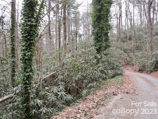 21 Toxaway Landing, Lake Toxaway, NC 28747