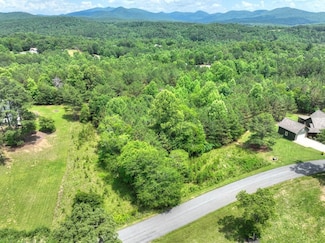 LOT 140 Fox Lake Rd, Blairsville, GA 30512