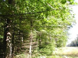 ON Hwy 155 Unit Lot 4, Saint Germain, WI 54558
