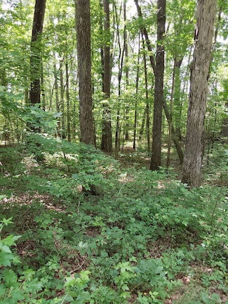 0 Old Duncan Bridge Rd, Arley, AL 35541