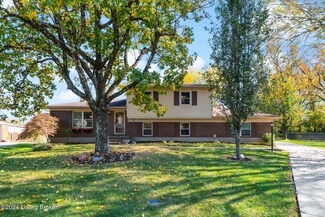 8002 Harrod Wood Ct, Louisville, KY 40291