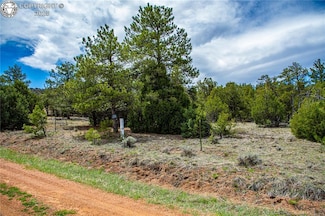 200 Cottonwood Dr, Cotopaxi, CO 81223