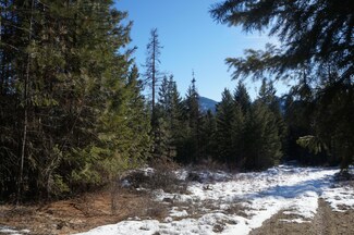 2024X Summit Valley Rd, Addy, WA 99101