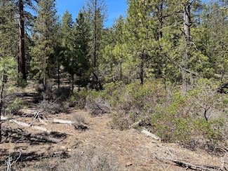 0 Horned Owl Way Unit 385461 220194876, Bonanza, OR 97623