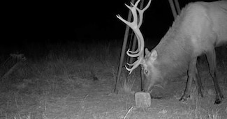 TBD County Road 140, Wellington, TX 79095