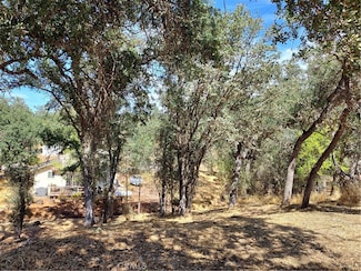 16258 35th Ave, Clearlake, CA 95422