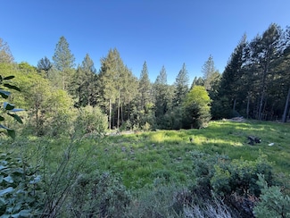 19707 Grizzly Creek Rd, Nevada City, CA 95959