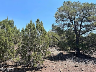 Lot 75 N Dolly (8141) Dr, Vernon, AZ 85940