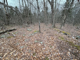 56 B June Dr, Tobyhanna, PA 18466