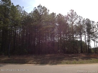 0 Crewe Ct Unit 30040839, New Kent, VA 23140