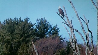 0 Old West Brookfield Rd L:37 Unit 72470357, Warren, MA 01083