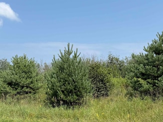 lot 2 blk 1 Reservation Rd, Cloquet, MN 55720