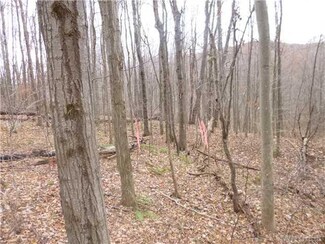 0 County Road 34 Unit B464173, Friendship, NY 14739