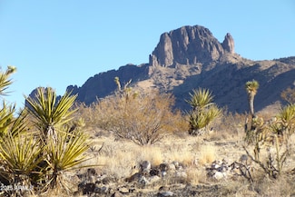 Lot 550 N Manor St Unit 550, Dolan Springs, AZ 86441