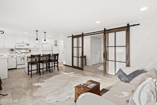 950 E Durant Ave Unit 2, Aspen, CO 81611
