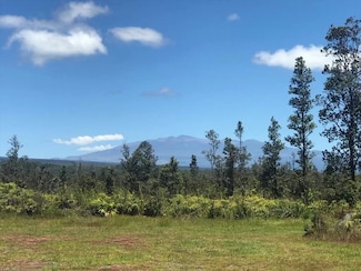 11-3120 Waimaka O Pele Rd, Mountain View, HI 96771