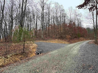TRACT 9B Isner Run, Elkins, WV 26241