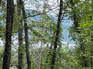 Parcel 1 Buena Vista Ln, Hayesville, NC 28904