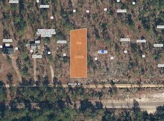 00 Denver Dr, Interlachen, FL 32148