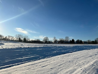 10785 Windward Ave SW, Byron Center, MI 49315