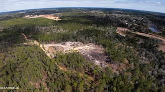 40 Acres Runnymede Rd, Pass Christian, MS 39571