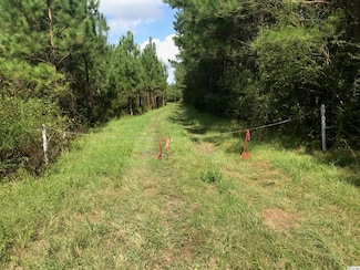 TBD Chair Rd, Hemingway, SC 29554