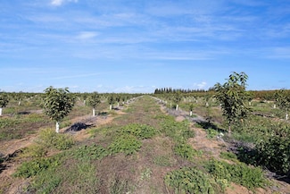 15089 N Locust Tree Rd, Lodi, CA 95240