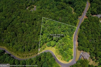 0 Galax Trail Unit 10543470, Chatsworth, GA 30705
