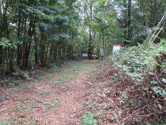 0 Highway 52 W Unit 7642027, Ellijay, GA 30540