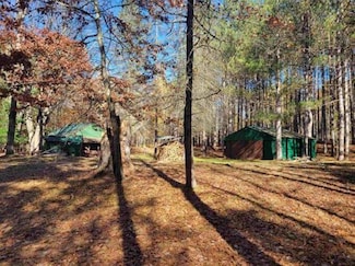 3385 Jones Rd, Beaverton, MI 48612