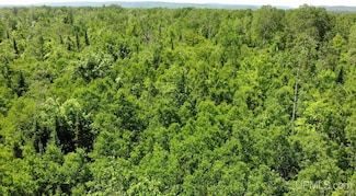 TBD 1 Norwich Rd, Ewen, MI 49925