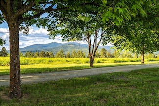 NKA E Day Mt Spokane Rd Unit North Parcel, Mead, WA 99021