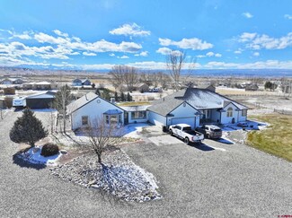 68720 Open Field Dr, Montrose, CO 81401