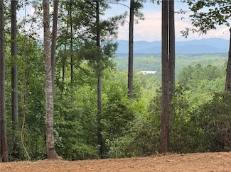 382 Cliffs Pkwy S, Salem, SC 29676