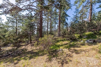 0000 Logan Creek Rd Unit 559082011, Idyllwild-Pine Cove, CA 92549