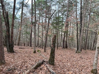 0 Elzey's Rd, Rogers, AR 72756