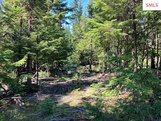NNA Toad Rd ( 5 Acres ), Priest River, ID 83856