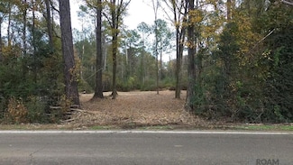 Parcel 2-A Hano Rd, Independence, LA 70443