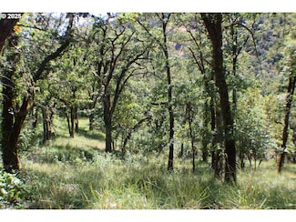 345 Sierra Dr, Roseburg, OR 97471