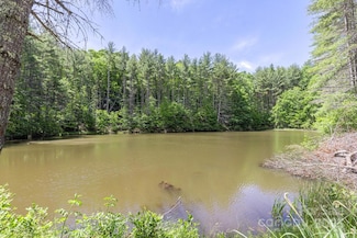 9999 River Edge Dr Unit 2, Burnsville, NC 28714