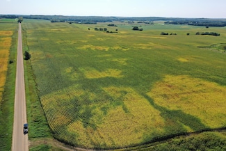 TBDx 190th St, Clitherall Township, MN 56515