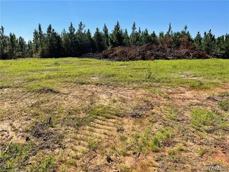 15231 Watermelon Rd, Tuscaloosa, AL 35406