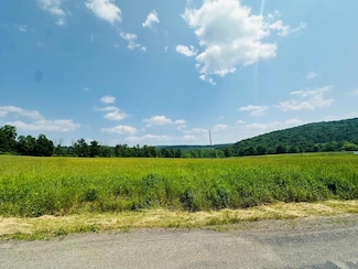 0 Moore Hill Rd, Nichols, NY 13812