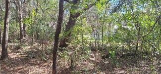 6600 N Pagoda Tree Terrace, Hernando, FL 34442